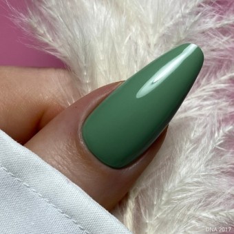 DNA Camouflage Green 2017