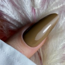 DNA Toffee Tree 2023