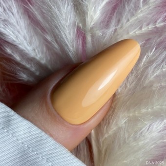 DNA Amber Flame 2025