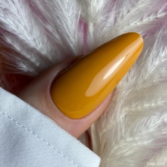 DNA Honey Heat 2026 DNA Honey Heat 2026