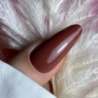 DNA Cocoa Blush 2037