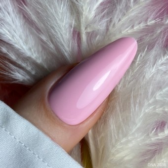 DNA Vintage Rose 2038