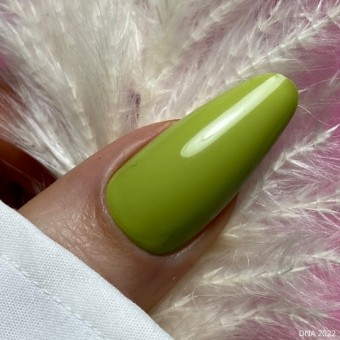 DNA Avocado Air 2022