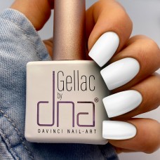 DNA Edzlweiss 2001