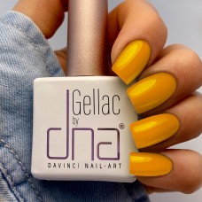 DNA Honey Heat 2026